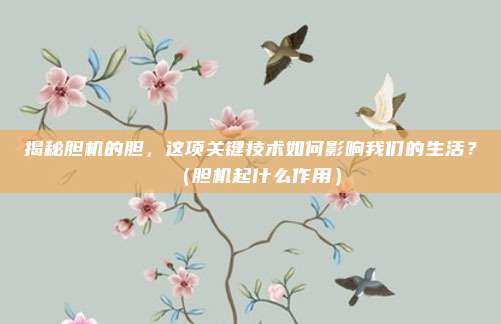 揭秘胆机的胆,这项关键技术如何影响我们的生活?(胆机起什么作用)
