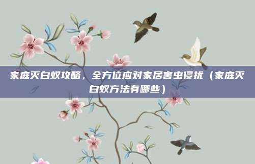 家庭灭白蚁攻略，全方位应对家居害虫侵扰（家庭灭白蚁方法有哪些）