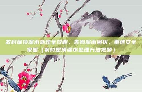 农村屋顶漏水处理全攻略,告别漏雨困扰,重建安全家园(农村屋顶漏水处理方法视频)