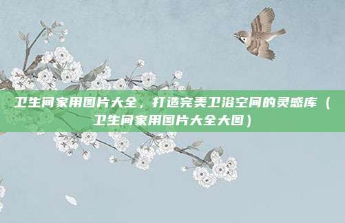 卫生间家用图片大全,打造完美卫浴空间的灵感库(卫生间家用图片大全大图)