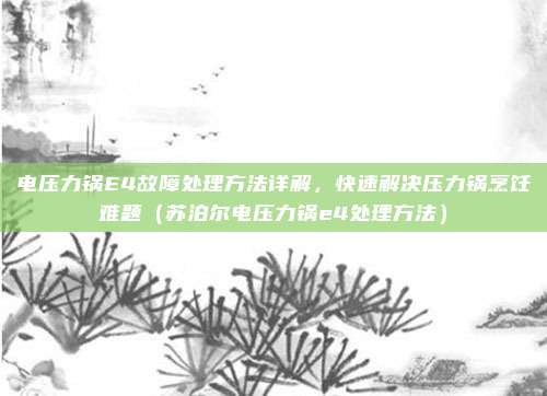 电压力锅E4故障处理方法详解,快速解决压力锅烹饪难题(苏泊尔电压力锅e4处理方法)