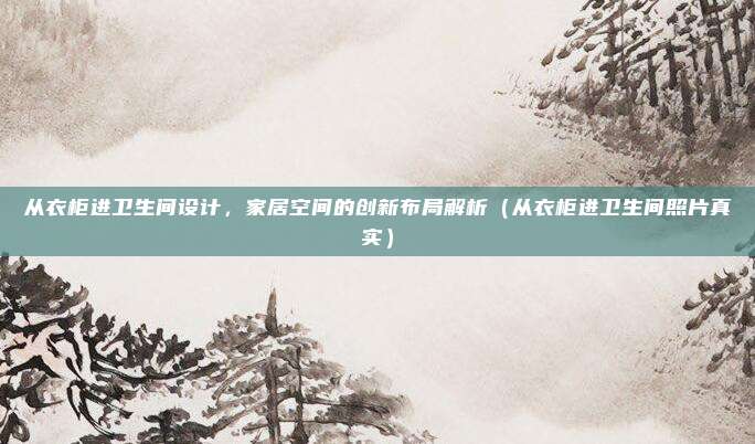 从衣柜进卫生间设计,家居空间的创新布局解析(从衣柜进卫生间照片真实)