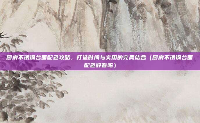 厨房不锈钢台面配色攻略,打造时尚与实用的完美结合(厨房不锈钢台面配色好看吗)