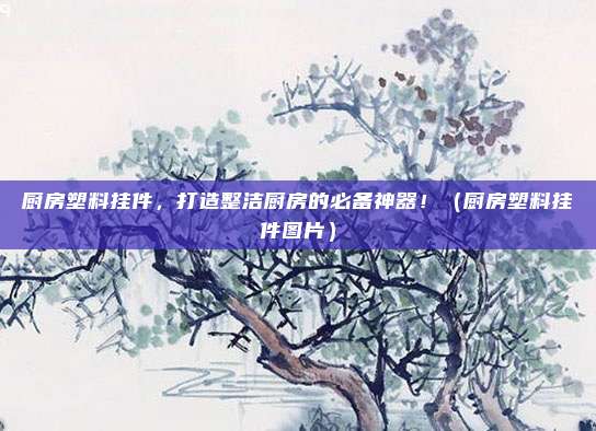 厨房塑料挂件,打造整洁厨房的必备神器!(厨房塑料挂件图片)