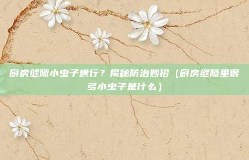 厨房缝隙小虫子横行？揭秘防治妙招（厨房缝隙里很多小虫子是什么）