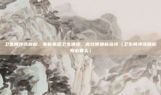 卫生间冲洗喷枪，革新家居卫生清洁，高效便捷新选择（卫生间冲洗喷枪有必要么）