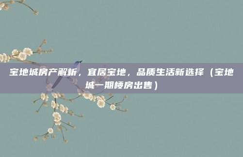 宝地城房产解析，宜居宝地，品质生活新选择（宝地城一期楼房出售）