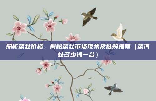 探析蒸灶价格,揭秘蒸灶市场现状及选购指南(蒸汽灶多少钱一台)