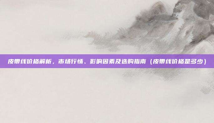 皮带线价格解析,市场行情、影响因素及选购指南(皮带线价格是多少)