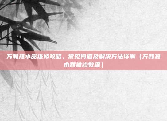 万和热水器维修攻略,常见问题及解决方法详解(万和热水器维修教程)