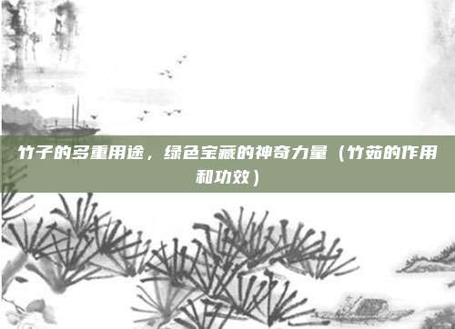竹子的多重用途，绿色宝藏的神奇力量（竹茹的作用和功效）