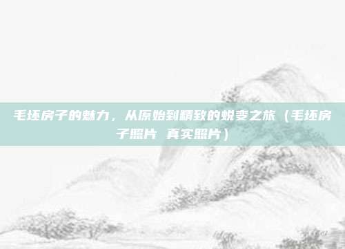 毛坯房子的魅力，从原始到精致的蜕变之旅（毛坯房子照片 真实照片）