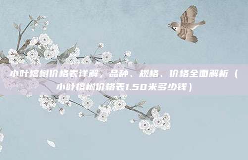 小叶榕树价格表详解，品种、规格、价格全面解析（小叶榕树价格表1.50米多少钱）
