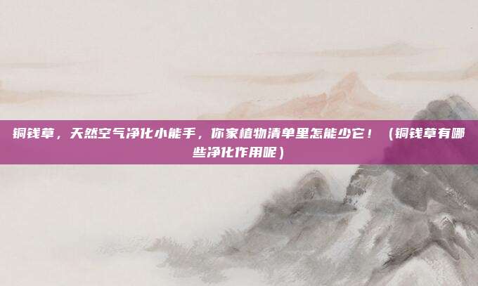 铜钱草,天然空气净化小能手,你家植物清单里怎能少它!(铜钱草有哪些净化作用呢)