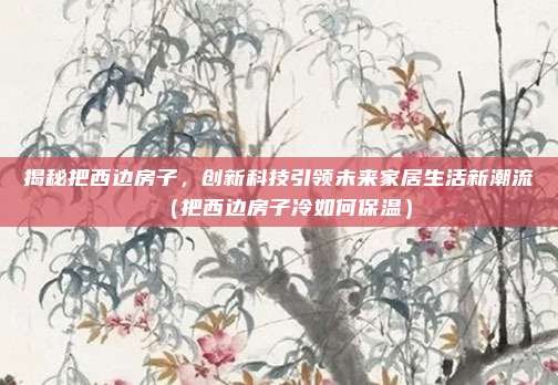 揭秘把西边房子,创新科技引领未来家居生活新潮流(把西边房子冷如何保温)