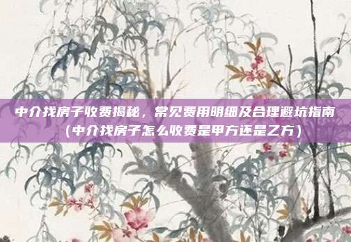 中介找房子收费揭秘,常见费用明细及合理避坑指南(中介找房子怎么收费是甲方还是乙方)