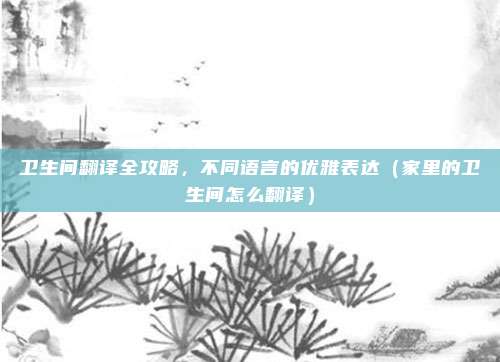 卫生间翻译全攻略,不同语言的优雅表达(家里的卫生间怎么翻译)