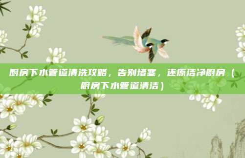 厨房下水管道清洗攻略,告别堵塞,还原洁净厨房(厨房下水管道清洁)