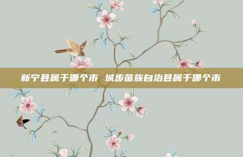 新宁县属于哪个市 城步苗族自治县属于哪个市