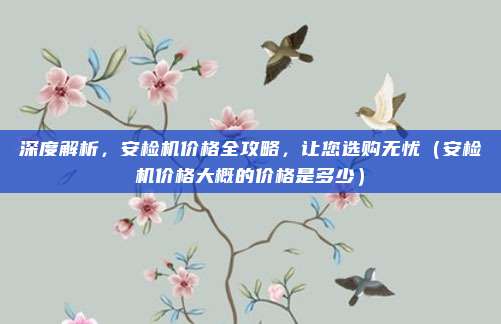 深度解析，安检机价格全攻略，让您选购无忧（安检机价格大概的价格是多少）