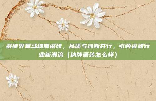 瓷砖界黑马纳牌瓷砖,品质与创新并行,引领瓷砖行业新潮流(纳牌瓷砖怎么样)