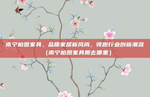 南宁柏图家具，品质家居新风尚，领跑行业创新潮流（南宁柏图家具搬去哪里）