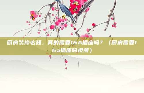 厨房装修必知,真的需要16A插座吗?(厨房需要16a插座吗视频)