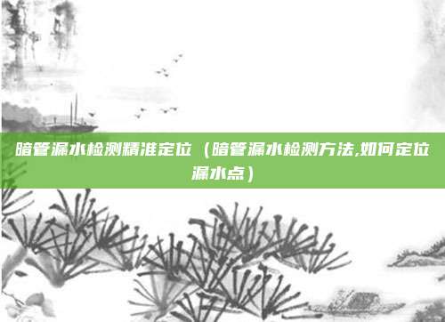 暗管漏水检测精准定位（暗管漏水检测方法,如何定位漏水点）