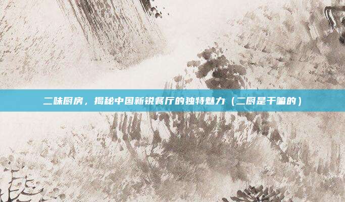 二味厨房，揭秘中国新锐餐厅的独特魅力（二厨是干嘛的）