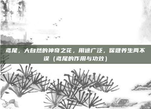 鸢尾，大自然的神奇之花，用途广泛，保健养生两不误（鸢尾的作用与功效）