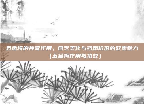 五色梅的神奇作用，园艺美化与药用价值的双重魅力（五色梅作用与功效）