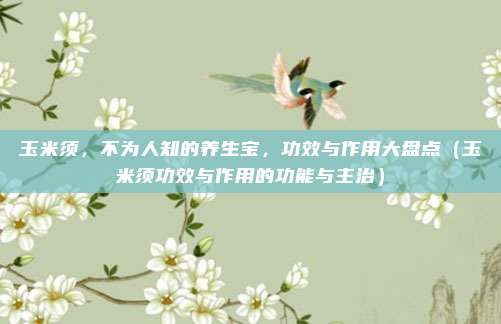 玉米须,不为人知的养生宝,功效与作用大盘点(玉米须功效与作用的功能与主治)