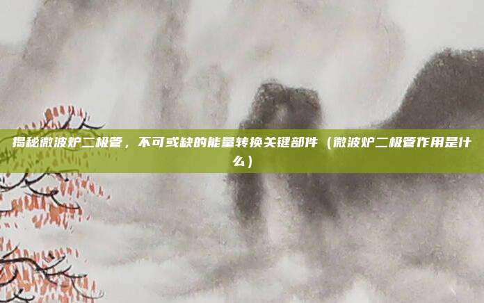 揭秘微波炉二极管,不可或缺的能量转换关键部件(微波炉二极管作用是什么)