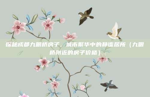 探秘成都九眼桥房子,城市繁华中的静谧居所(九眼桥附近的房子价格)