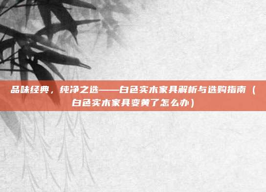品味经典，纯净之选——白色实木家具解析与选购指南（白色实木家具变黄了怎么办）