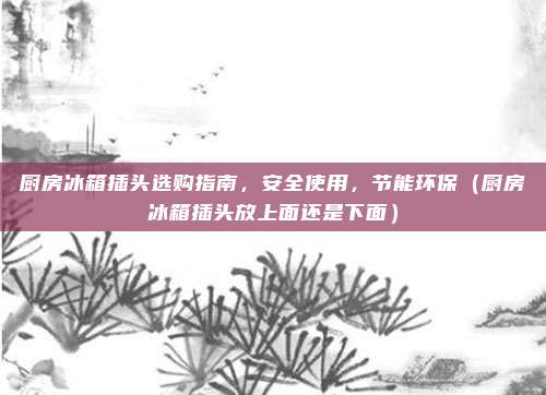 厨房冰箱插头选购指南,安全使用,节能环保(厨房冰箱插头放上面还是下面)