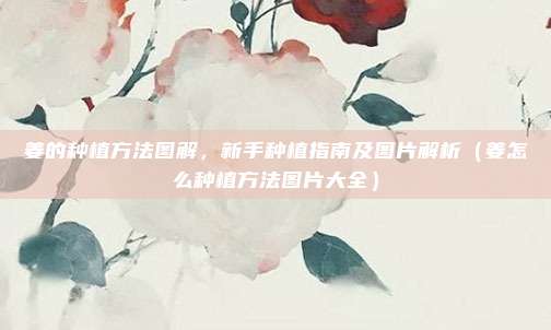 姜的种植方法图解,新手种植指南及图片解析(姜怎么种植方法图片大全)