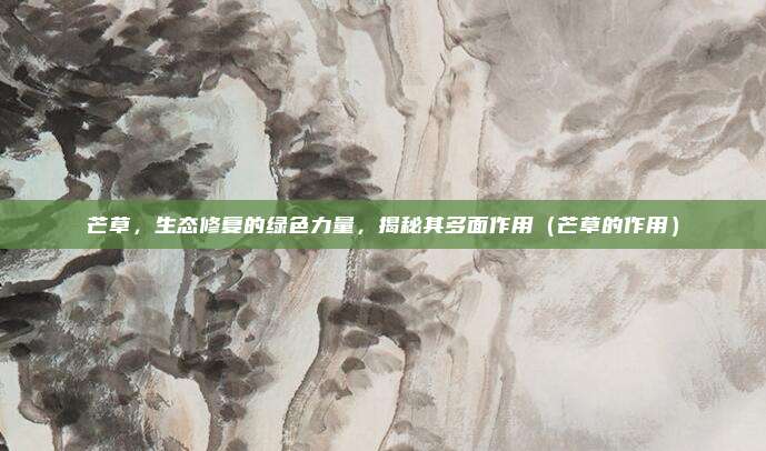 芒草，生态修复的绿色力量，揭秘其多面作用（芒草的作用）