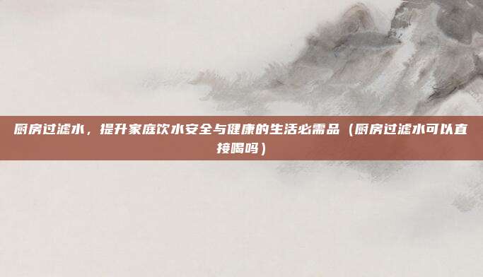 厨房过滤水，提升家庭饮水安全与健康的生活必需品（厨房过滤水可以直接喝吗）