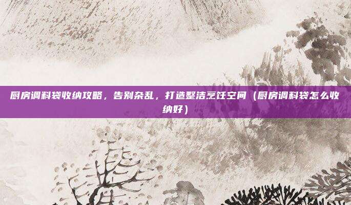厨房调料袋收纳攻略,告别杂乱,打造整洁烹饪空间(厨房调料袋怎么收纳好)