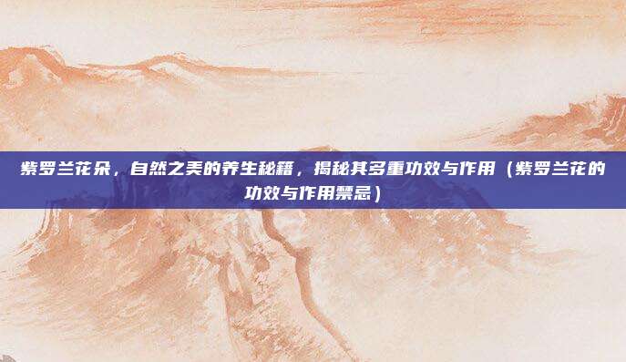 紫罗兰花朵,自然之美的养生秘籍,揭秘其多重功效与作用(紫罗兰花的功效与作用禁忌)