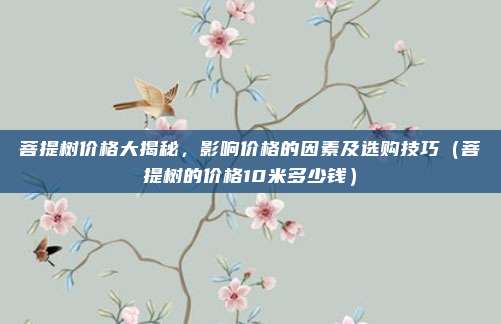 菩提树价格大揭秘，影响价格的因素及选购技巧（菩提树的价格10米多少钱）