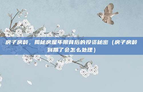 房子房龄,揭秘房屋年限背后的投资秘密(房子房龄到期了会怎么处理)