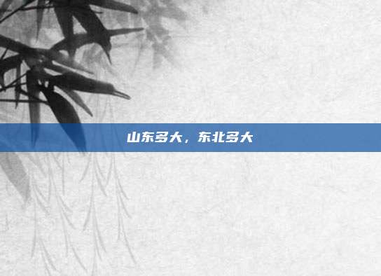 山东多大,东北多大