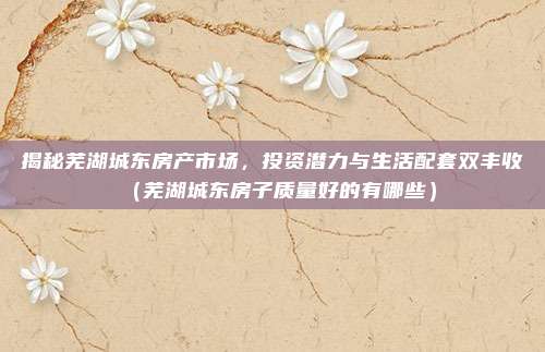 揭秘芜湖城东房产市场，投资潜力与生活配套双丰收（芜湖城东房子质量好的有哪些）