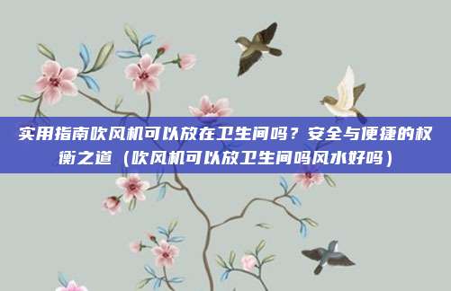 实用指南吹风机可以放在卫生间吗？安全与便捷的权衡之道（吹风机可以放卫生间吗风水好吗）
