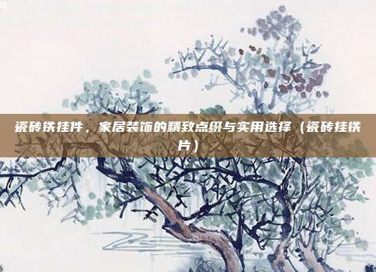 瓷砖铁挂件,家居装饰的精致点缀与实用选择(瓷砖挂铁片)