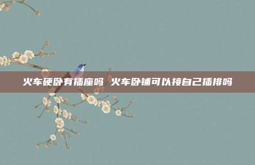 火车硬卧有插座吗 火车卧铺可以接自己插排吗