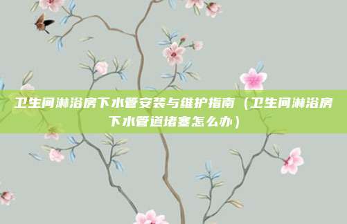 卫生间淋浴房下水管安装与维护指南（卫生间淋浴房下水管道堵塞怎么办）