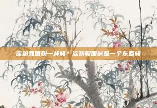 淀粉和面粉一样吗?淀粉和面碱是一个东西吗